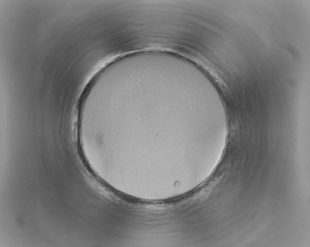 X0000114101126200911161052