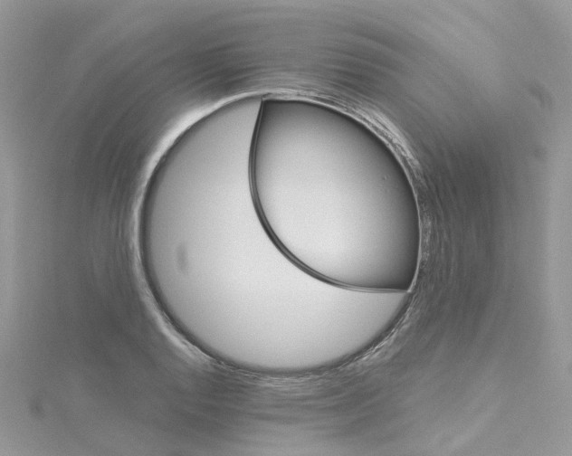 X0000114101128200911161052