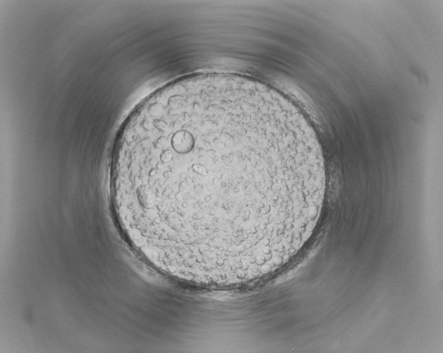 X0000114101130200911161052