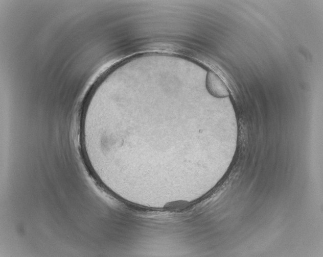 X0000114101131200911161052