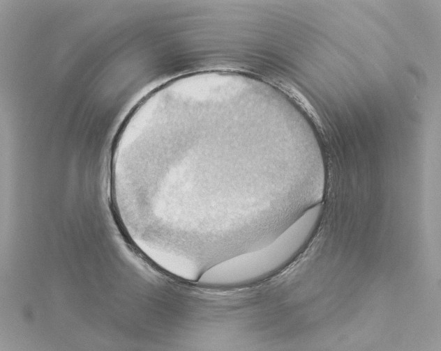 X0000114101132200911161052