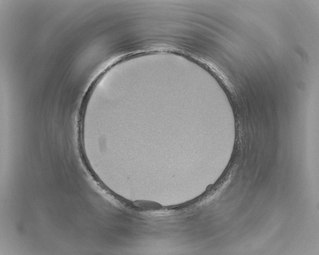 X0000114101134200911161052