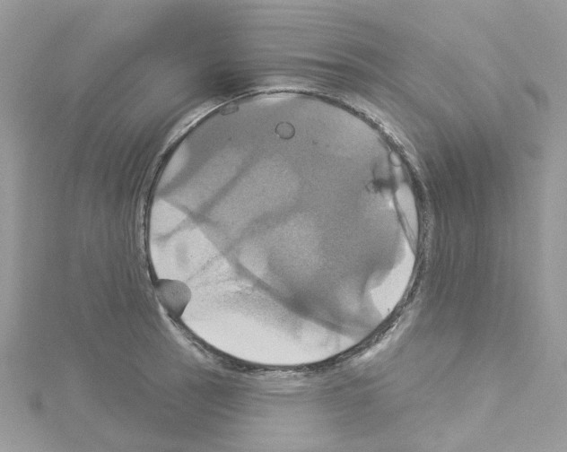 X0000114101137200911161052