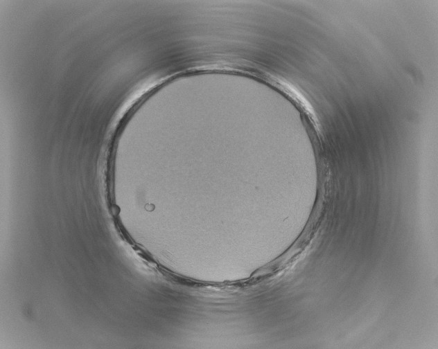 X0000114101138200911161052