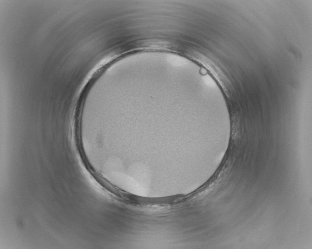 X0000114101139200911161052