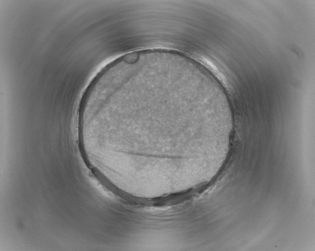 X0000114101140200911161052