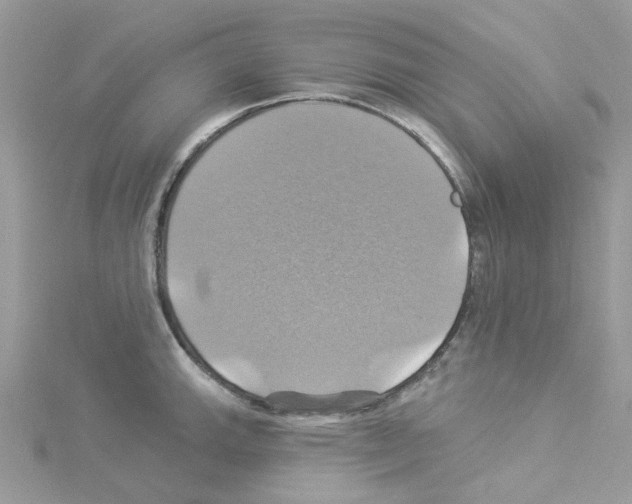 X0000114101143200911161053