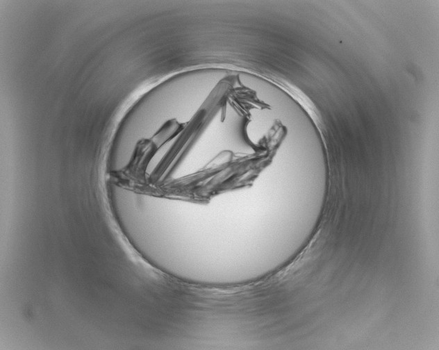 X0000114101144200911161053