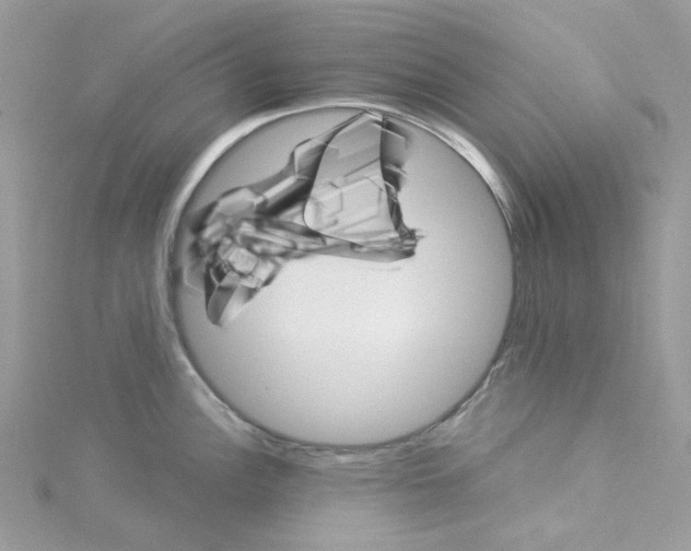 X0000114101148200911161053