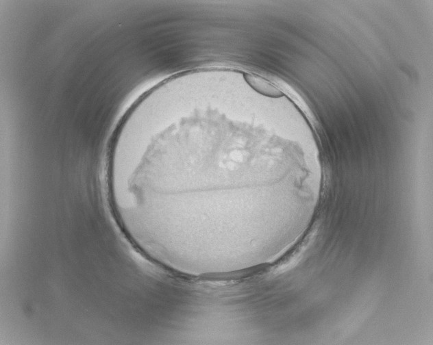 X0000114101149200911161053