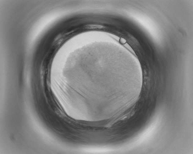 X0000114101151200911161053