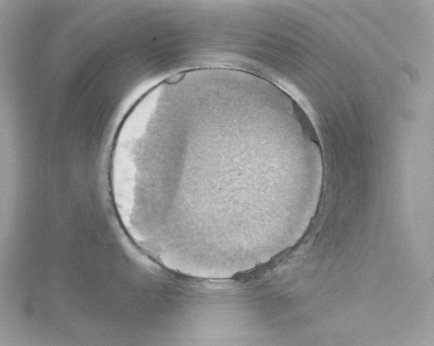 X0000114101152200911161053