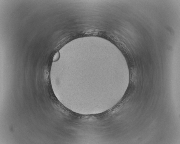 X0000114101154200911161052