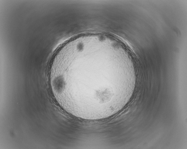 X0000114101160200911161052