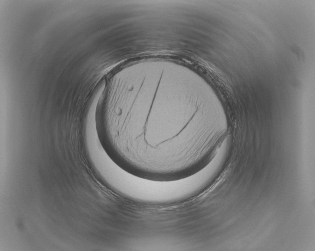 X0000114101161200911161052