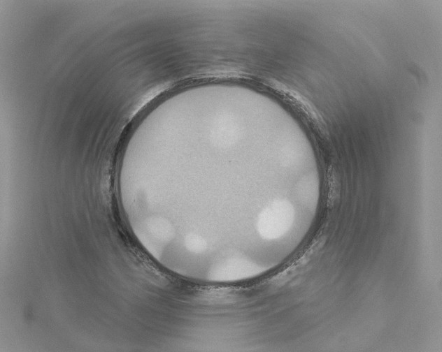 X0000114101162200911161052