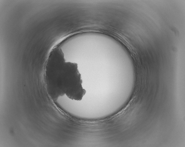 X0000114101164200911161052