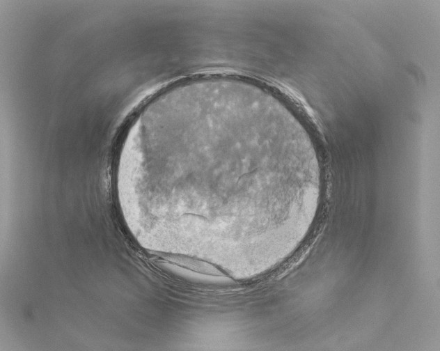 X0000114101167200911161052