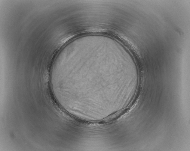 X0000114101169200911161052