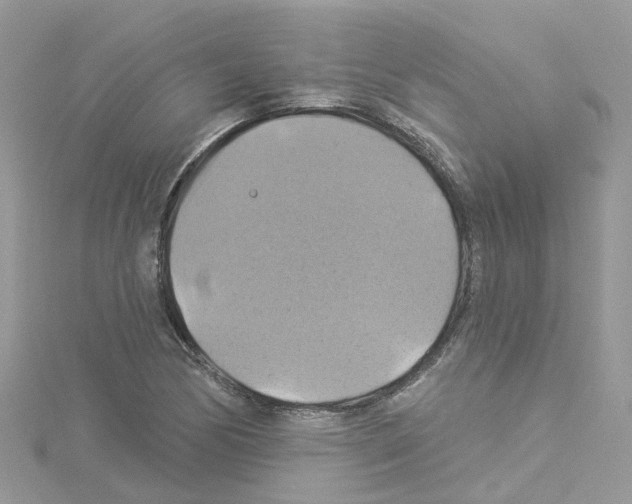 X0000114101170200911161052