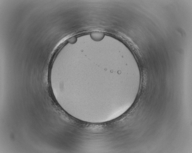 X0000114101174200911161052