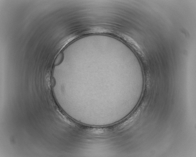 X0000114101177200911161052