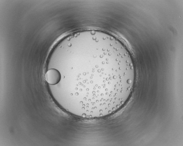 X0000114101182200911161051