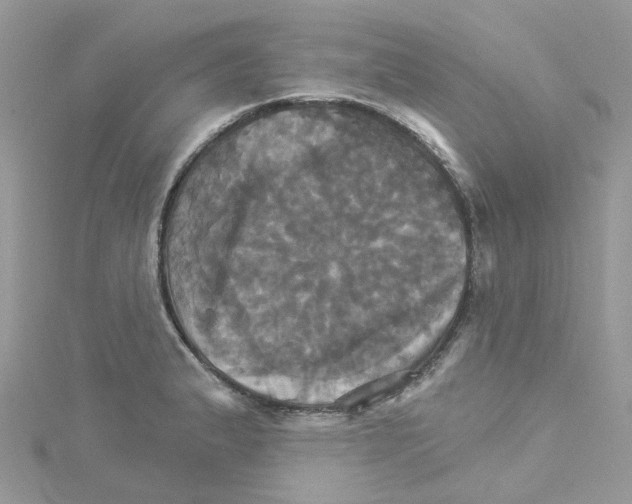 X0000114101183200911161051