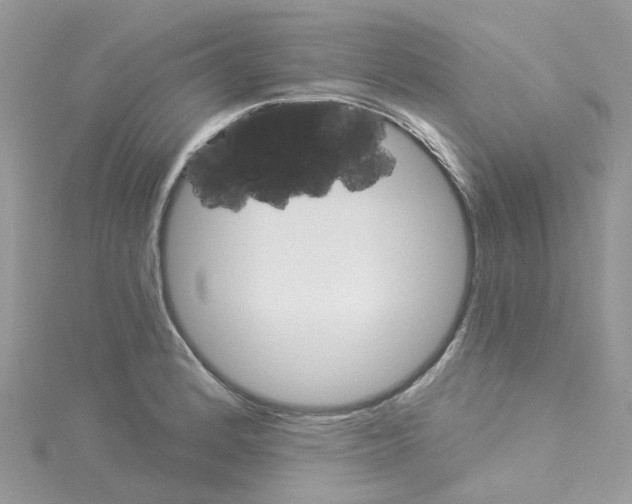 X0000114101184200911161051