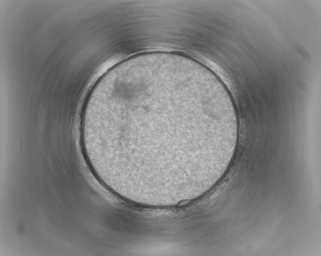 X0000114101187200911161051