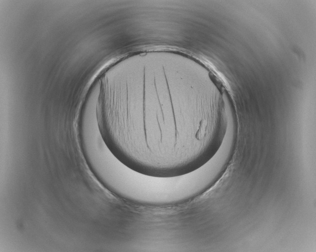 X0000114101189200911161051