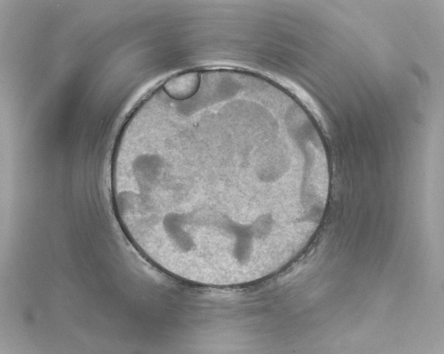 X0000114101191200911161051