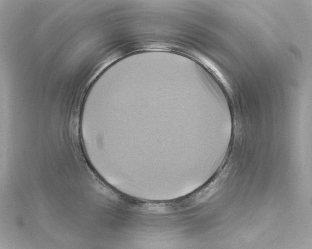 X0000114101194200911161051