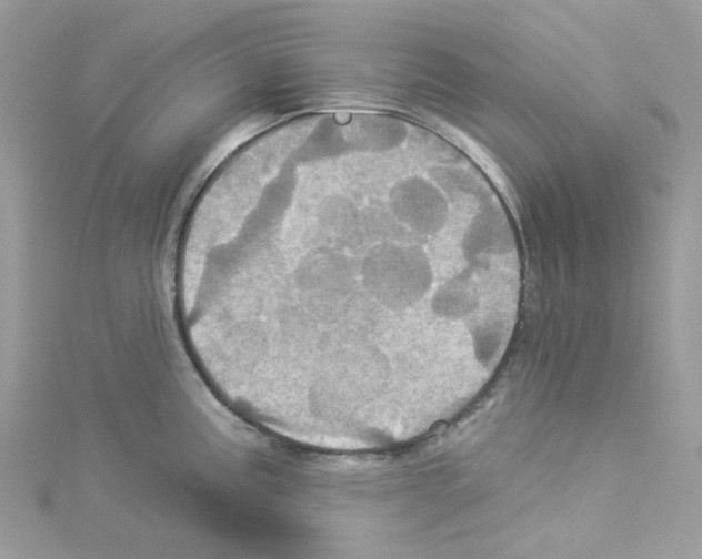 X0000114101195200911161051