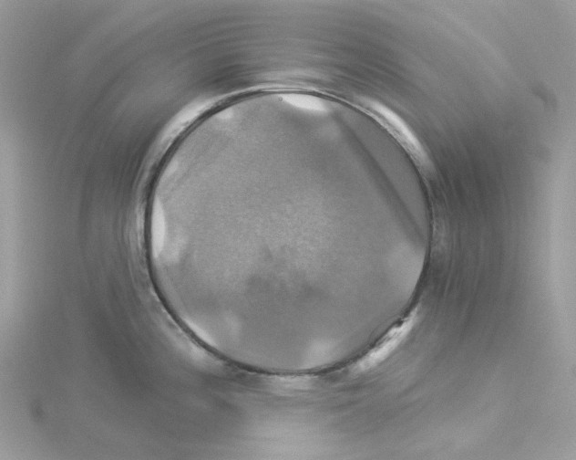 X0000114101196200911161051