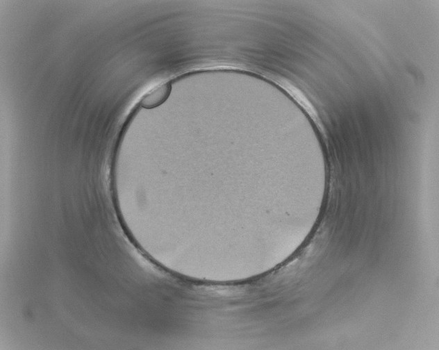 X0000114101197200911161051