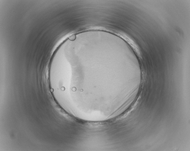 X0000114101198200911161051