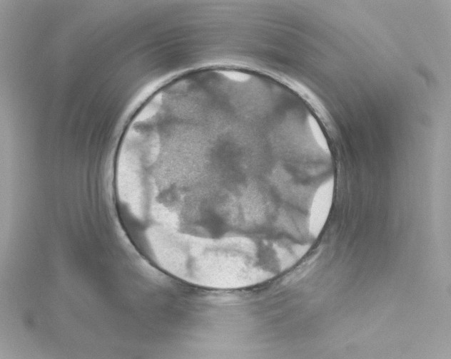 X0000114101199200911161051