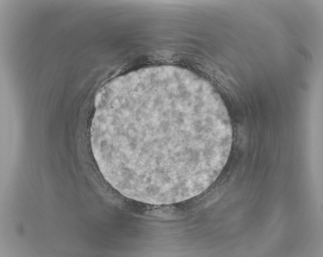 X0000114101201200911161051