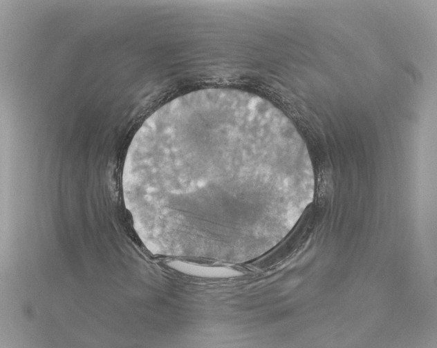 X0000114101202200911161051