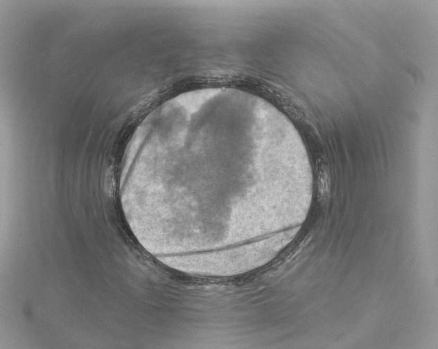 X0000114101204200911161051