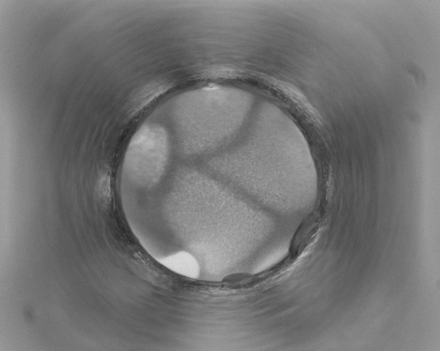 X0000114101209200911161051