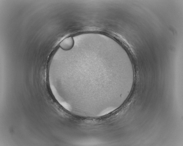 X0000114101220200911161051