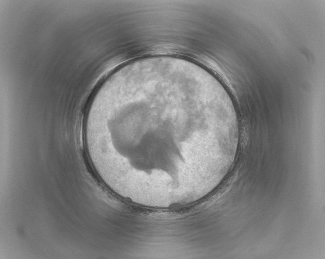 X0000114101227200911161051