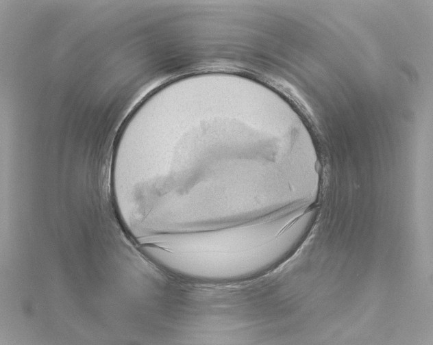 X0000114101228200911161051