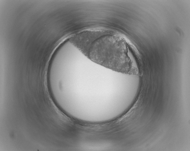 X0000114101229200911161051