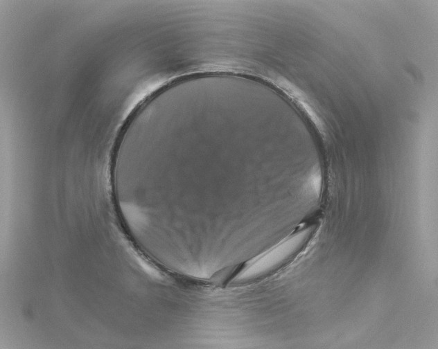 X0000114101230200911161051