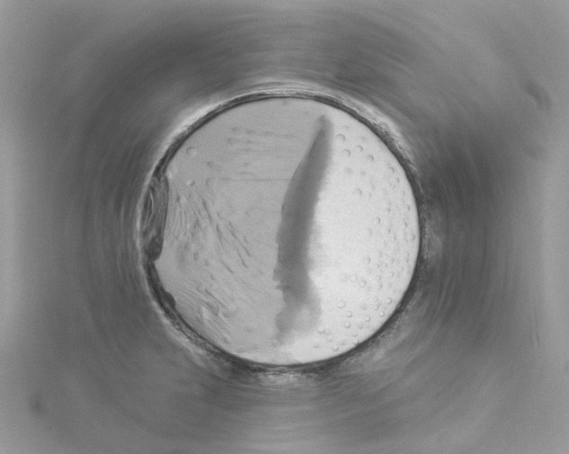 X0000114101231200911161051