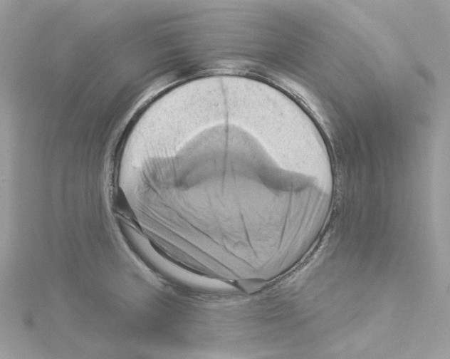 X0000114101235200911161051