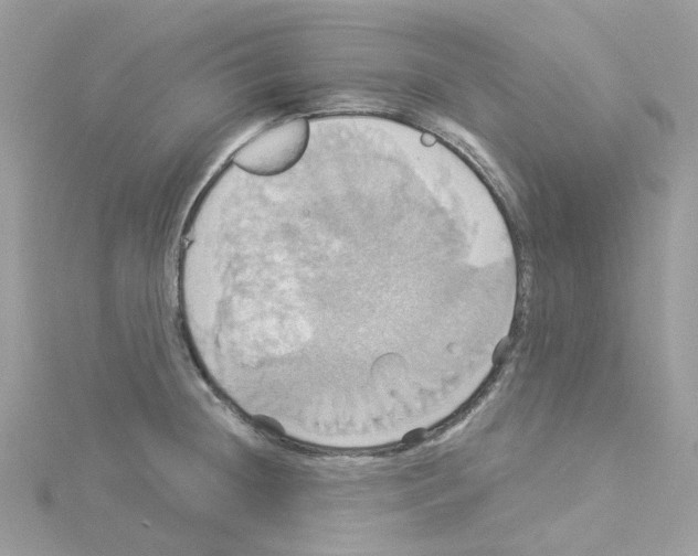 X0000114101236200911161051